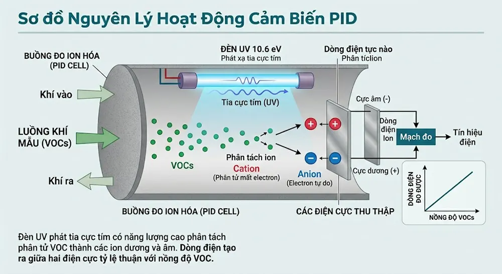 Nguyên lý hoạt động của cảm biến PID quang hóa ion trên máy đo khí VOC SENKO V-PRO